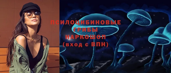 прущие грибы Белоозёрский