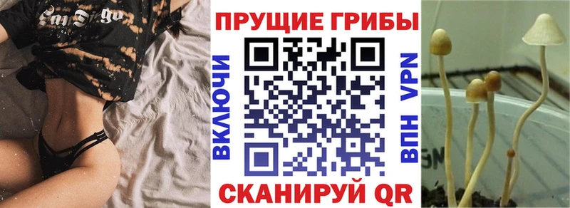 купить наркоту Верхняя Тура MEGA tor Галлюциногенные грибы ЛСД